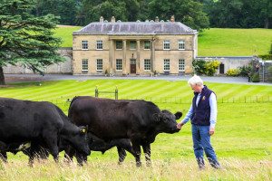 Lord Newborough, The Hall & cows 1